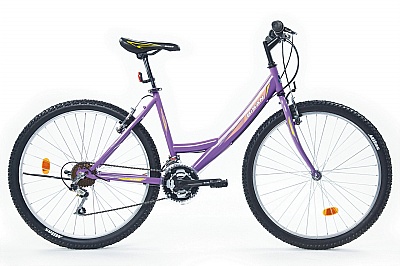  Bisan MTS 4100 bisiklet 