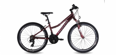  Peugeot SHINE bisiklet 