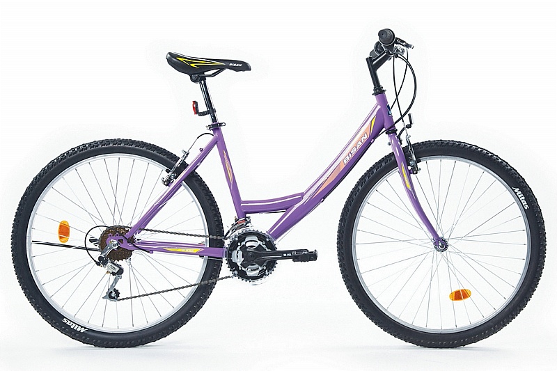  bisan MTS 4100 bisiklet 